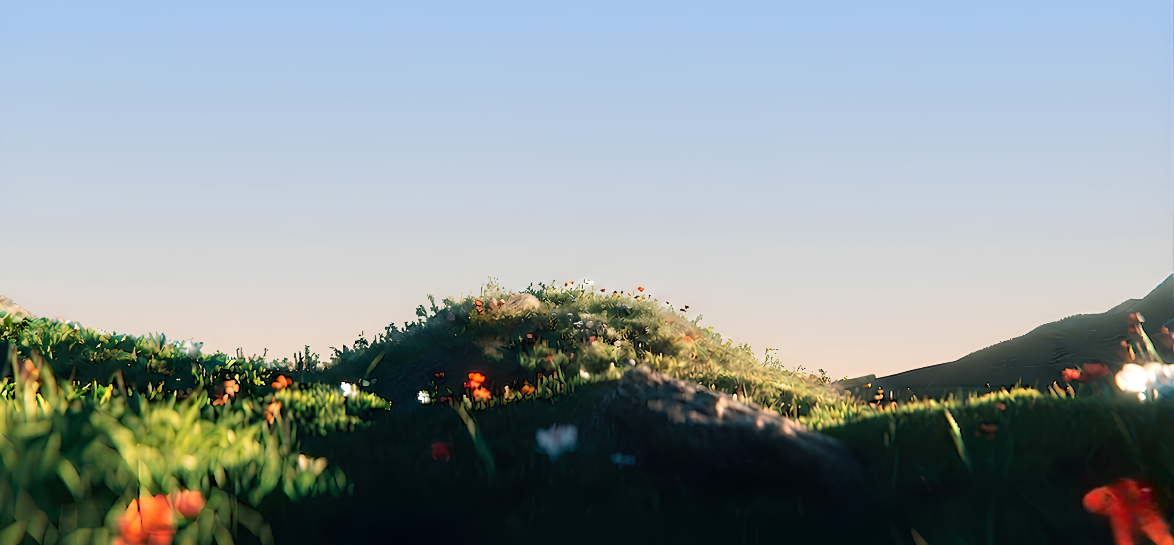 Hero Banner
